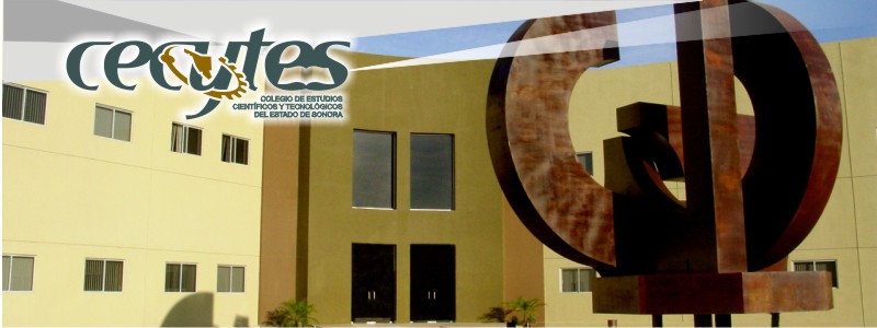 bannerprincipal
