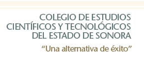 texto