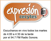 EXPRESION